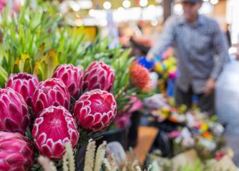 Image for Visit the Fremantle Markets