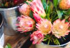 Image for The Freo Florist 